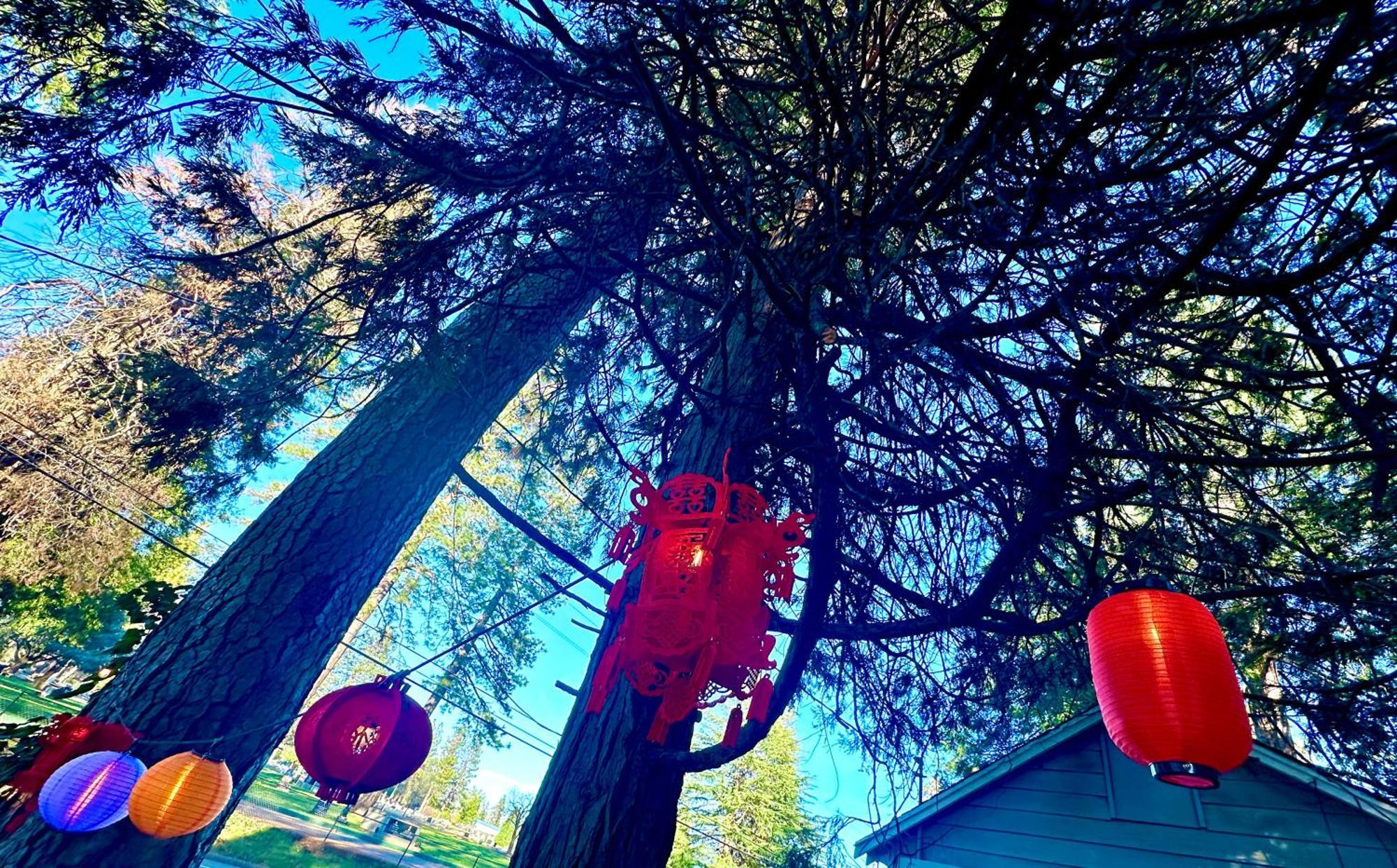 The Pines Inn And Cottages Grass Valley Dış mekan fotoğraf